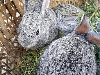 做好准备向死而生！《阿斯加德的陨落》现已开启Steam抢先体验